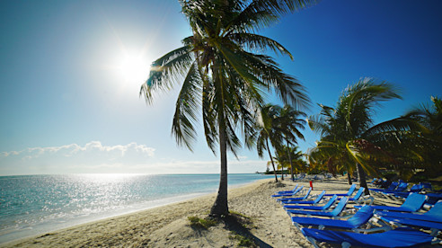 Sunny beach with palm trees, blue lounge chairs, and calm ocean water along the shoreline.