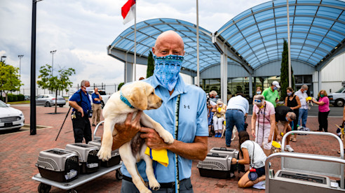 Canine Companions 7-15-20 (15 of 27)