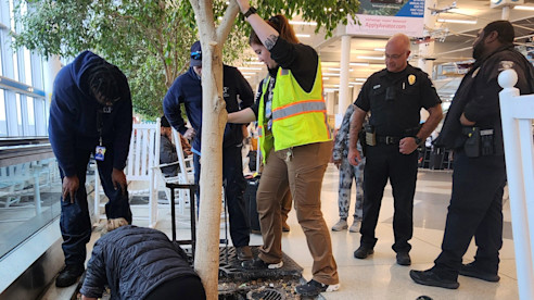 Personal del aeropuerto y oficiales de policía se reúnen alrededor de un árbol interior mientras trabajadores inspeccionan una rejilla de drenaje en el suelo.
