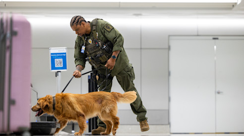 Oficial guía a un perro K-9 junto a equipaje durante una inspección en el aeropuerto.