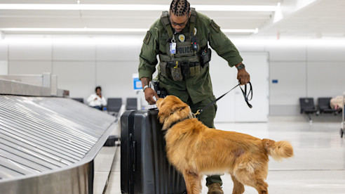 Oficial con un perro K-9 inspecciona equipaje cerca de la banda de reclamo de equipaje del aeropuerto.