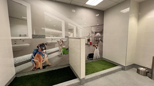 Concourse E Expansion - Pet Relief Area thumbnail