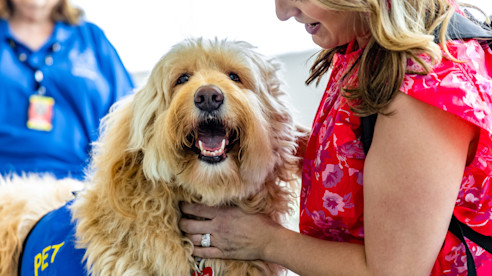 Main Photo for Canine Story