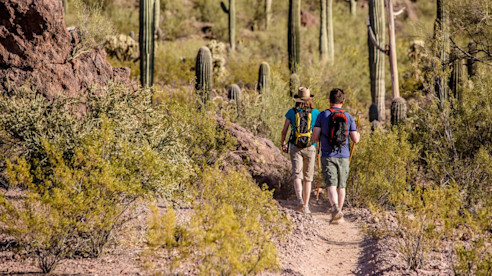 Phoenix, AZ AdobeStock 109745271 Large
