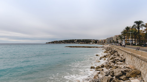 Rocky seaside promenade with ocean waves and palm trees. 