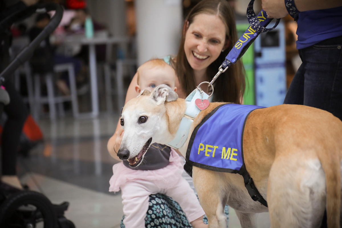 Una mujer sostiene suavemente el rostro de un perro blanco y negro dentro de una terminal del aeropuerto. El perro lleva un chaleco azul que dice “PET ME” y mira hacia arriba con la boca abierta. Se ven personas caminando al fondo.